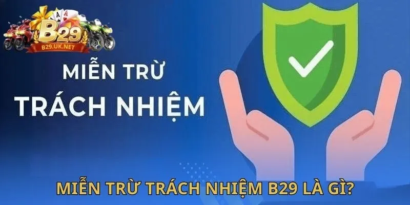 mien-tru-trach-nhiem-b29-la-gi