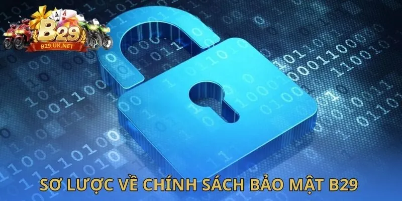 so-luoc-ve-chinh-sach-bao-mat-b29