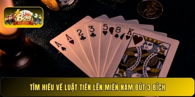 tim-hieu-ve-luat-tien-len-mien-nam-dut-3-bich